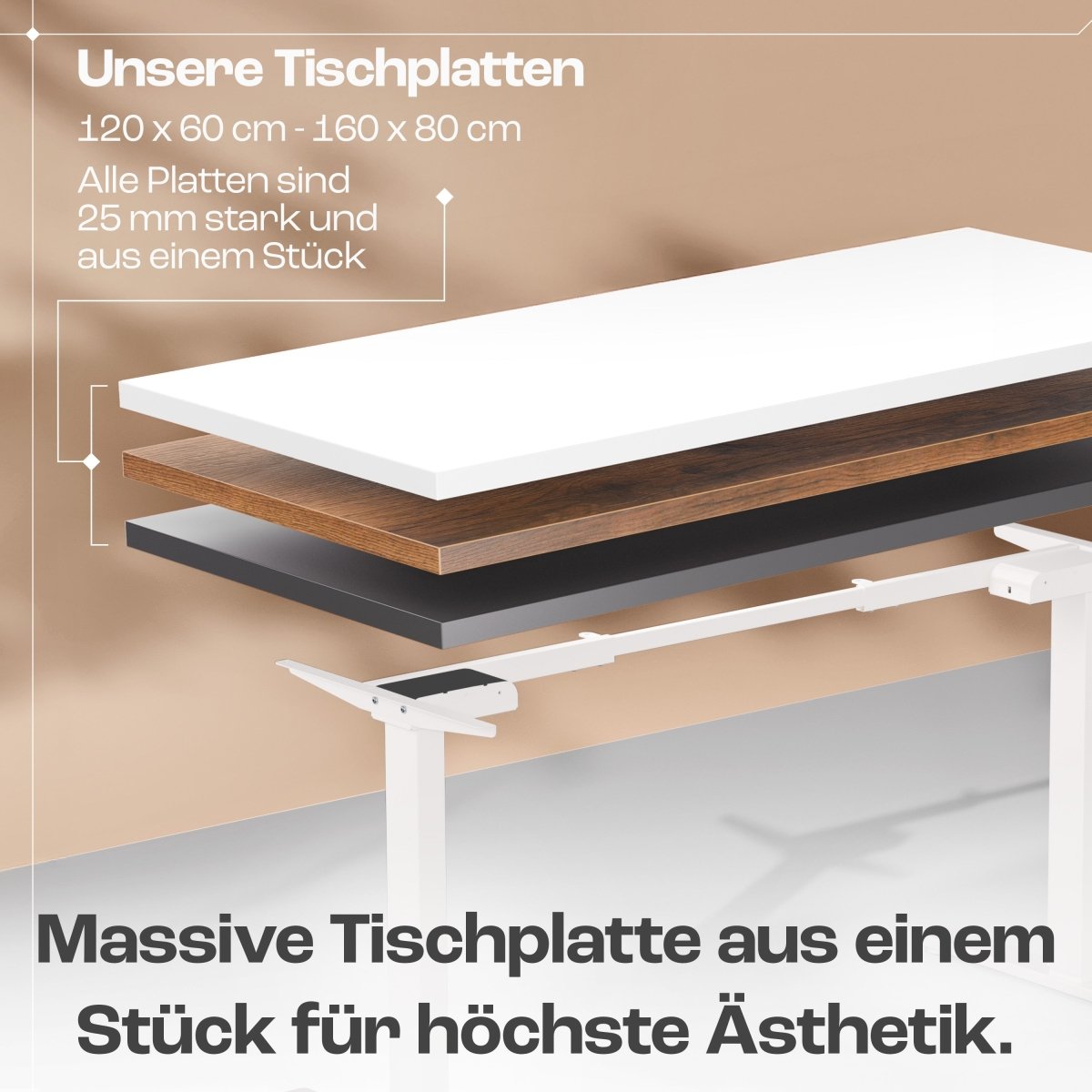 CLOUVOU x WINTONCOVE Höhenverstellbarer Schreibtisch mit Dual - Motor & sauberem Kabel - Versteck - Clouvou