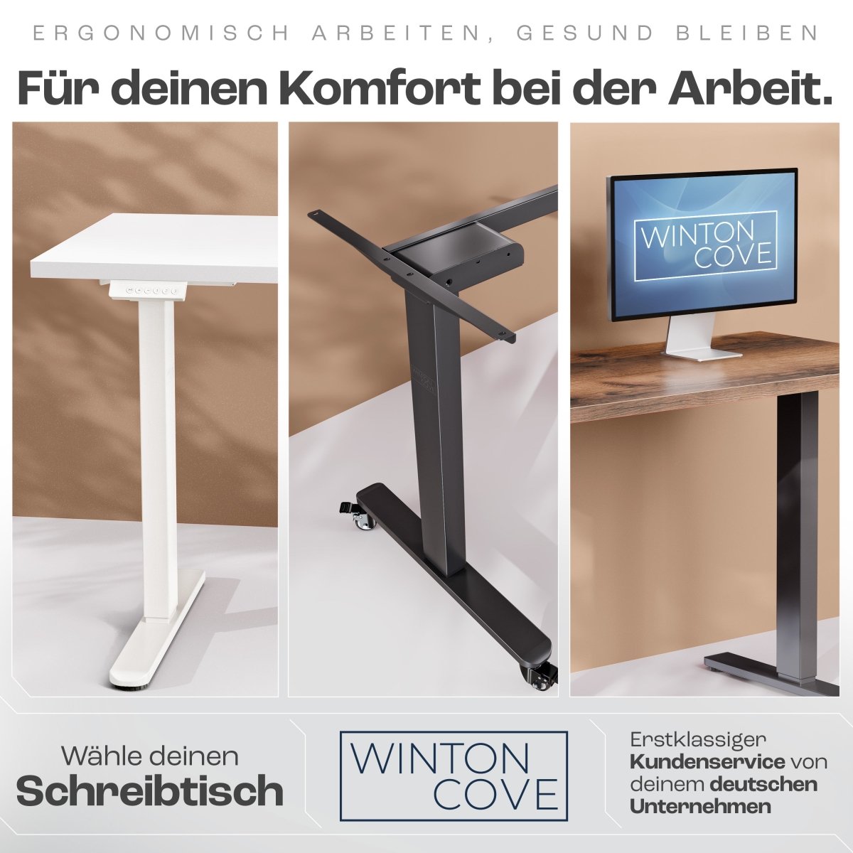 CLOUVOU x WINTONCOVE Höhenverstellbarer Schreibtisch mit Dual - Motor & sauberem Kabel - Versteck - Clouvou