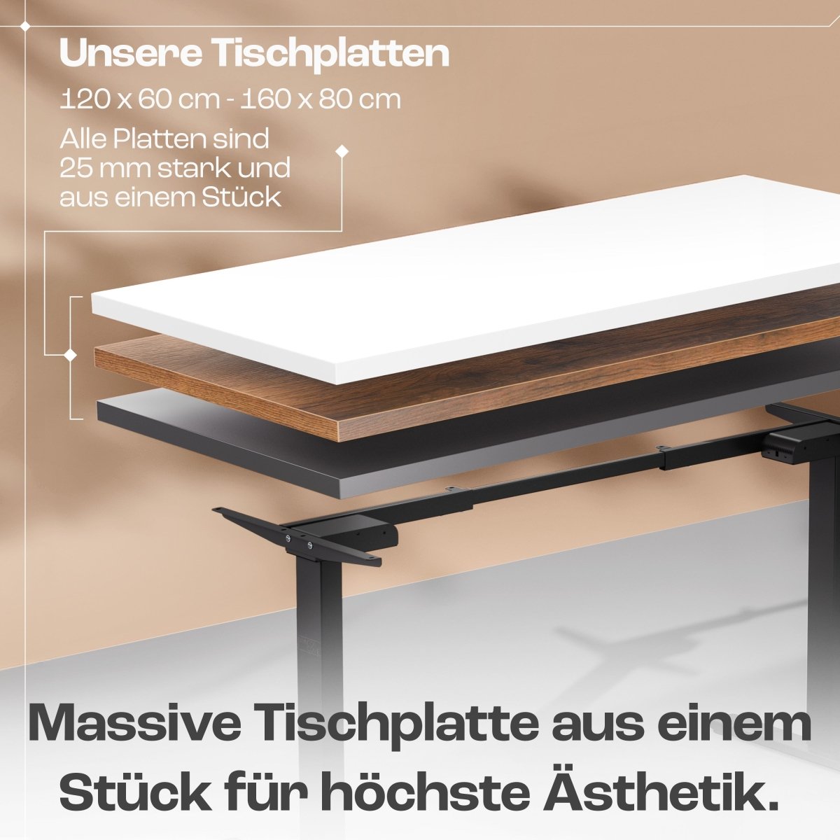 CLOUVOU x WINTONCOVE Höhenverstellbarer Schreibtisch mit Dual - Motor & sauberem Kabel - Versteck - Clouvou